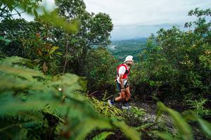 BIB: 
                            <button type="button" onclick="openModal(26196426)" class="btn btn-primary btn-sm float-right btn-popup" data-toggle="modal" data-target=".modal-high-quality">
                        <i class="fas fa-shopping-cart"></i> Add to Cart
                    </button>
                                            <button type="button" onclick="isThisMe(26196426, true)" class="btn btn-success btn-sm float-right btn-popup btn-isme hidden" data-toggle="tooltip" data-placement="bottom" title="นี่คือรูปของคุณใช่ไหม คลิกที่นี่เพื่อเอาเข้าอัลบั้ม">
                        <i class="fas fa-plus"></i> Add to album
                    </button>
                    <button type="button" onclick="isThisMe(26196426, false)" class="btn btn-warning btn-sm float-right btn-popup btn-isnotme hidden">
                        <i class="fas fa-ban"></i> Remove from album
                    </button>